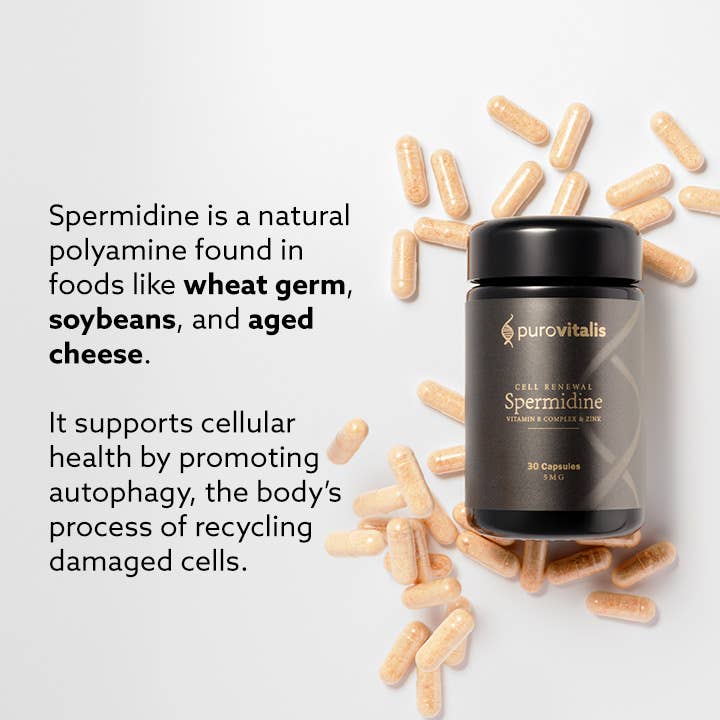 Purovitalis - Wholesale Voedingssupplement/vitamine - Purovitalis Liposomale Spermidine Fusion – 5 mg, 30 capsules1