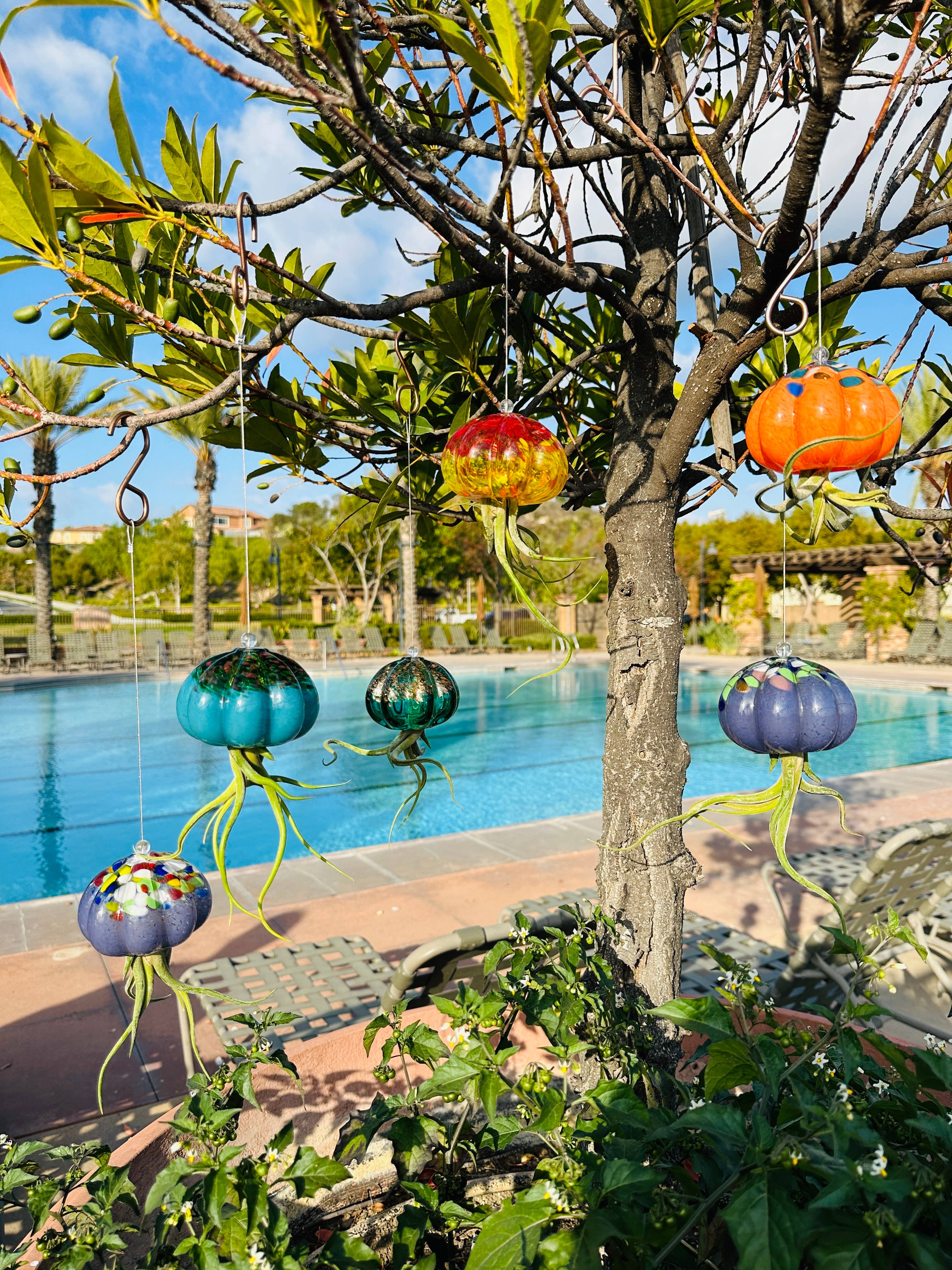 ApricotMint - Wholesale Hanging Planter - Cauliflower Jellyfish Air Plant Holder (plant not included)14