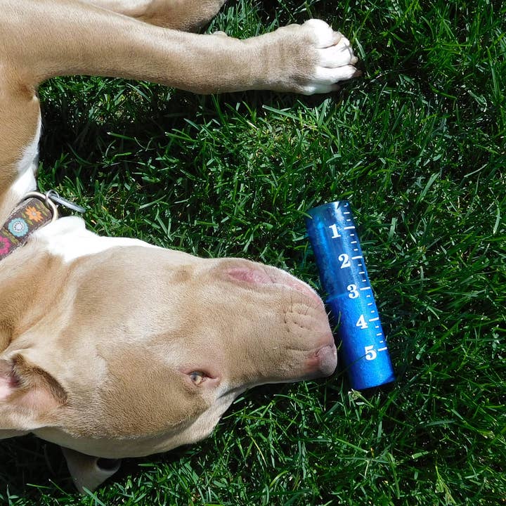 World's Coolest Rain Gauge Co. - Wholesale Outdoor Ornament/Decor - Rain Gauge Replacement Tube1