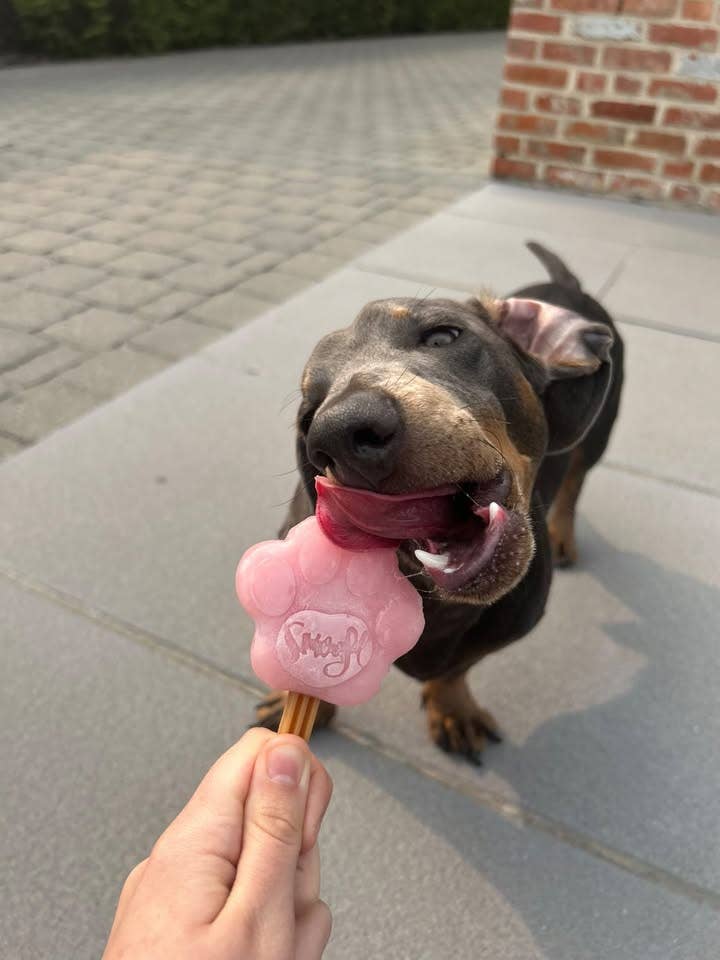 Smoofl - Wholesale Pet Biscuit - Dog - Strawberry mix for dog ice6