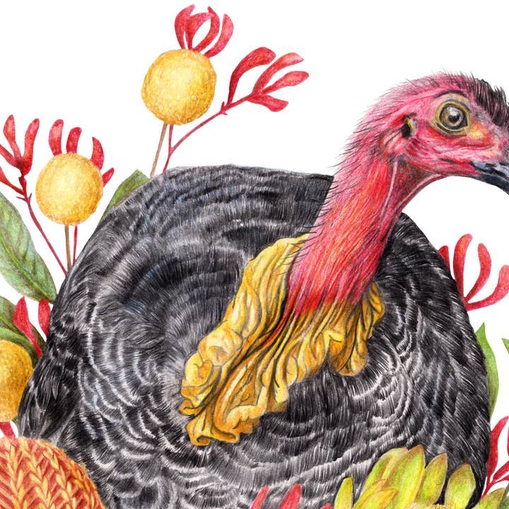 Kayla Reay Design - Wholesale Art print - Australian Brush Turkey Art Print4