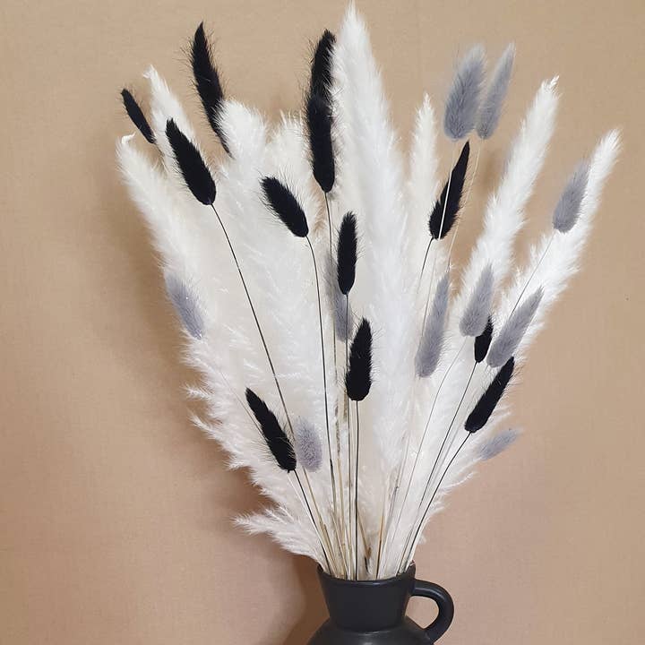 Opal Lily - Wholesale Dried/Pressed Flowers - Pampas Grass & Bunny Tails Bundle - White, Black & Grey