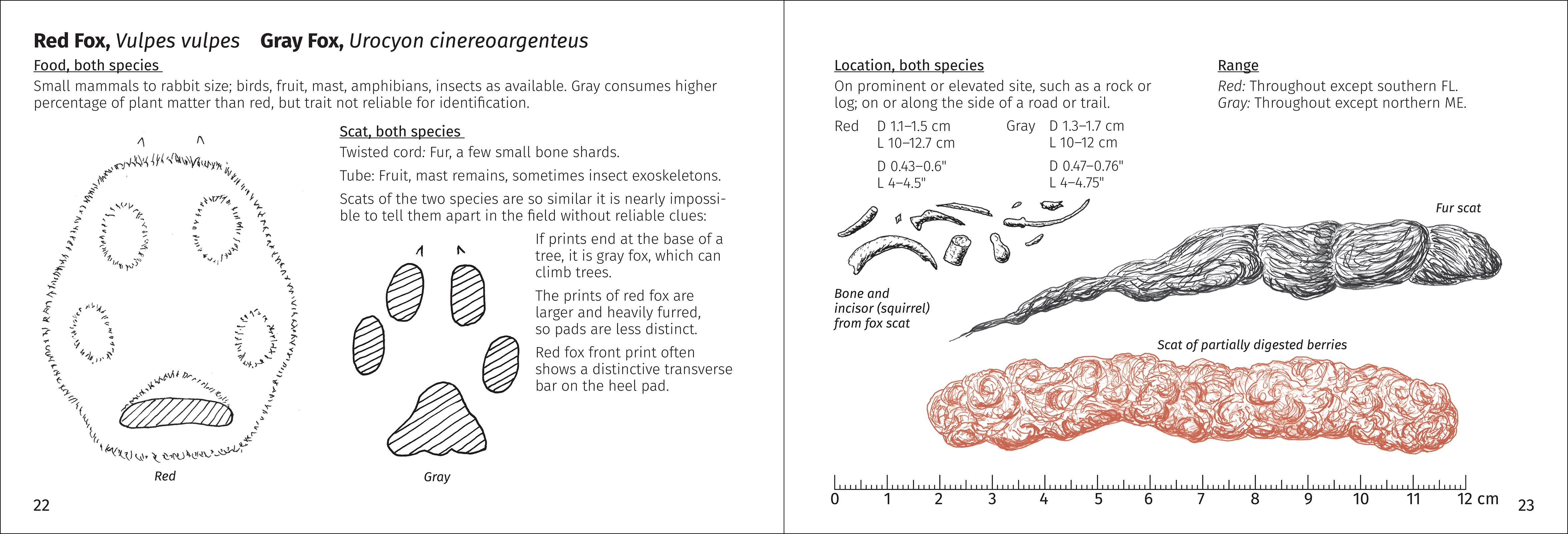 AdventureKEEN - Wholesale Nature & Outdoors - Scat Finder 2nd Edition6