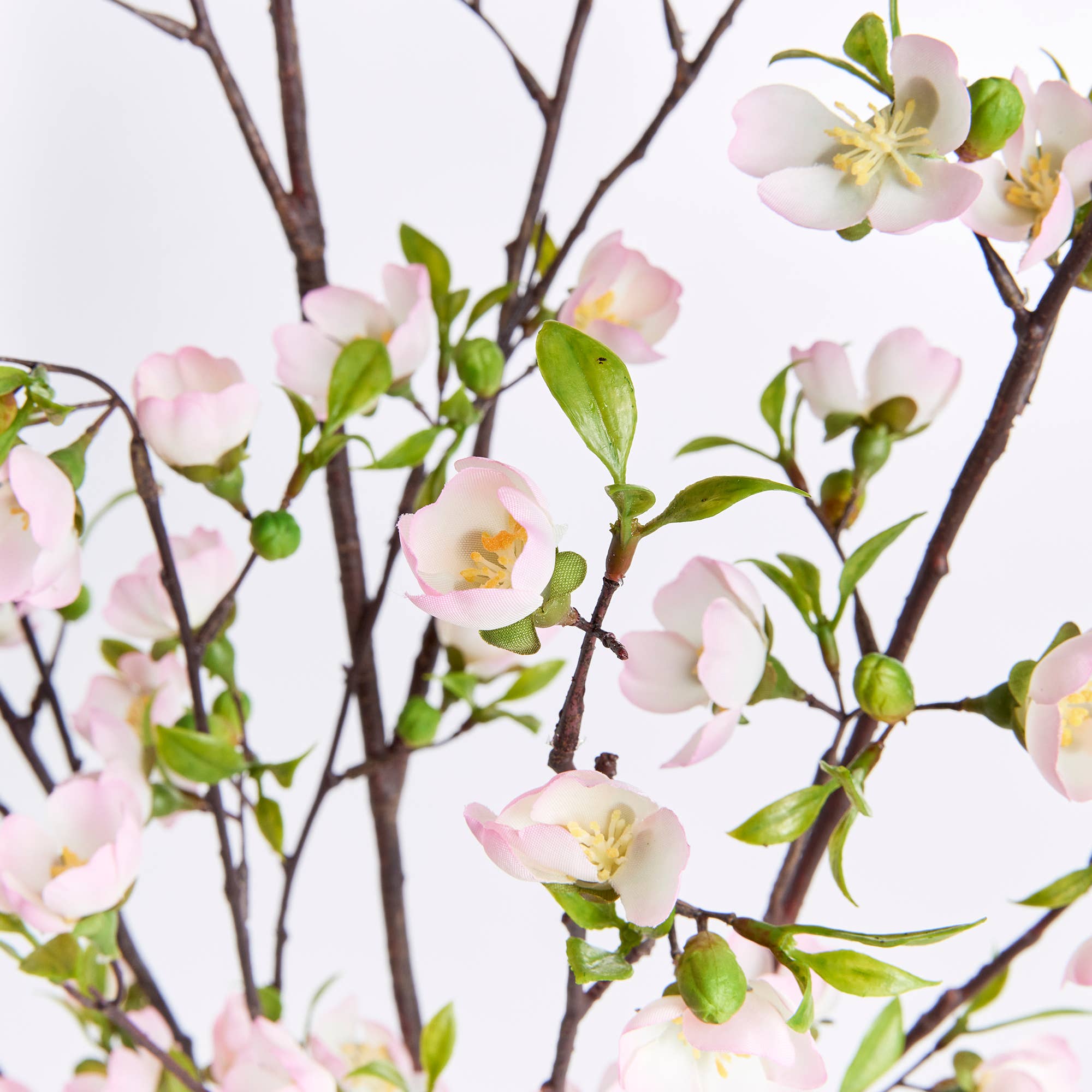 Cherry Blossom Branches, Pink for wholesale on Faire2