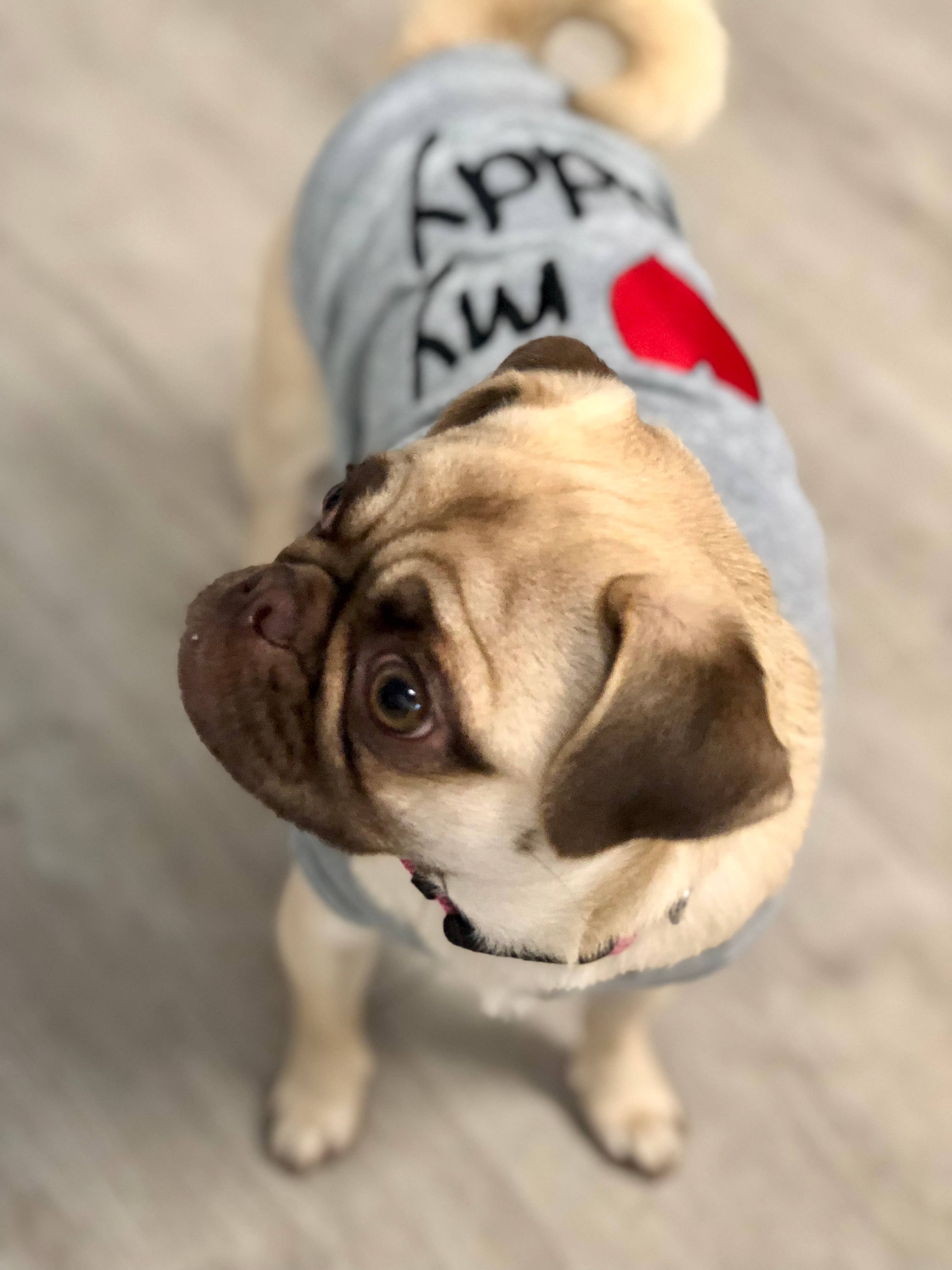 Grigio Maglietta "Amo Papà Cane" – Adorabile Maglietta per Cani in vendita all'ingrosso su Faire4