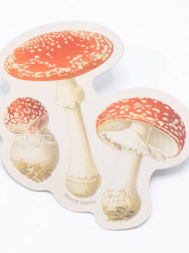 Seta Venenosa Amanita Muscaria (Caja de 15) para venta al por mayor de Cognitive Surplus