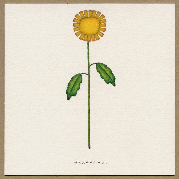 Beth Mueller - Wholesale Everyday Greeting Card - Dandelion - Boxed Greeting Cards