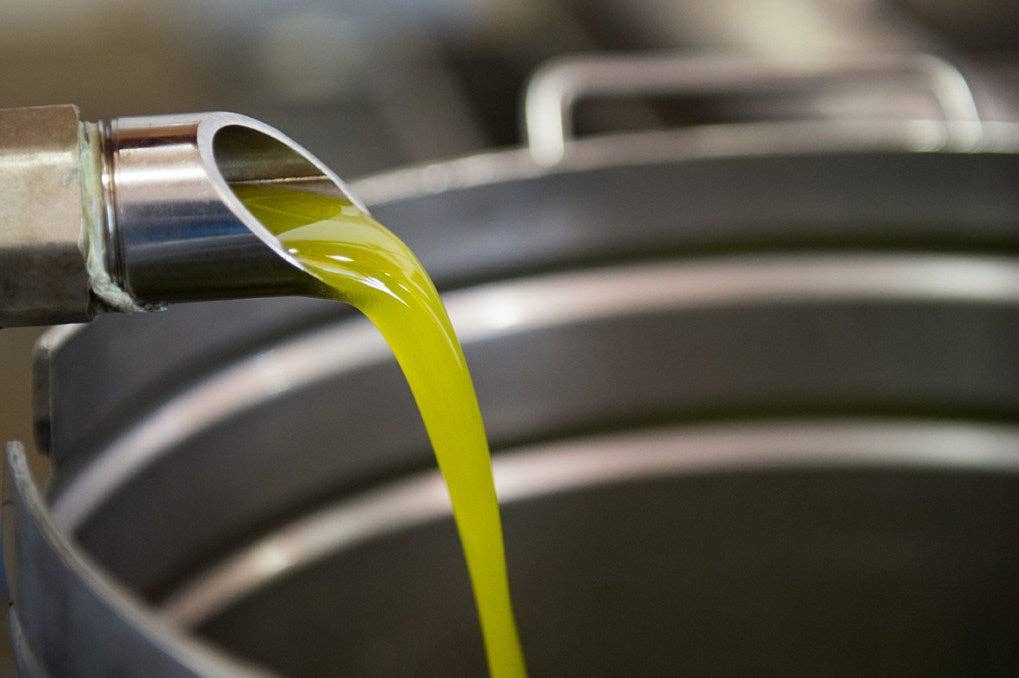 Italian Within - Vendita all'ingrosso Olio d'oliva - DOP Umbria MARFUGA RISERVA Colli Assisi — Spoleto4