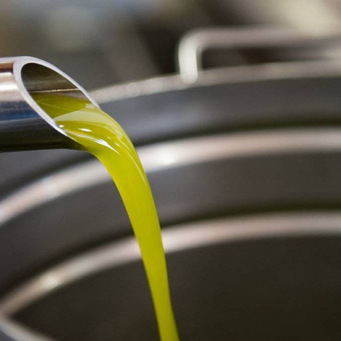 Italian Within - Wholesale Olive Oil - DOP Umbria MARFUGA RISERVA Colli Assisi – Spoleto4