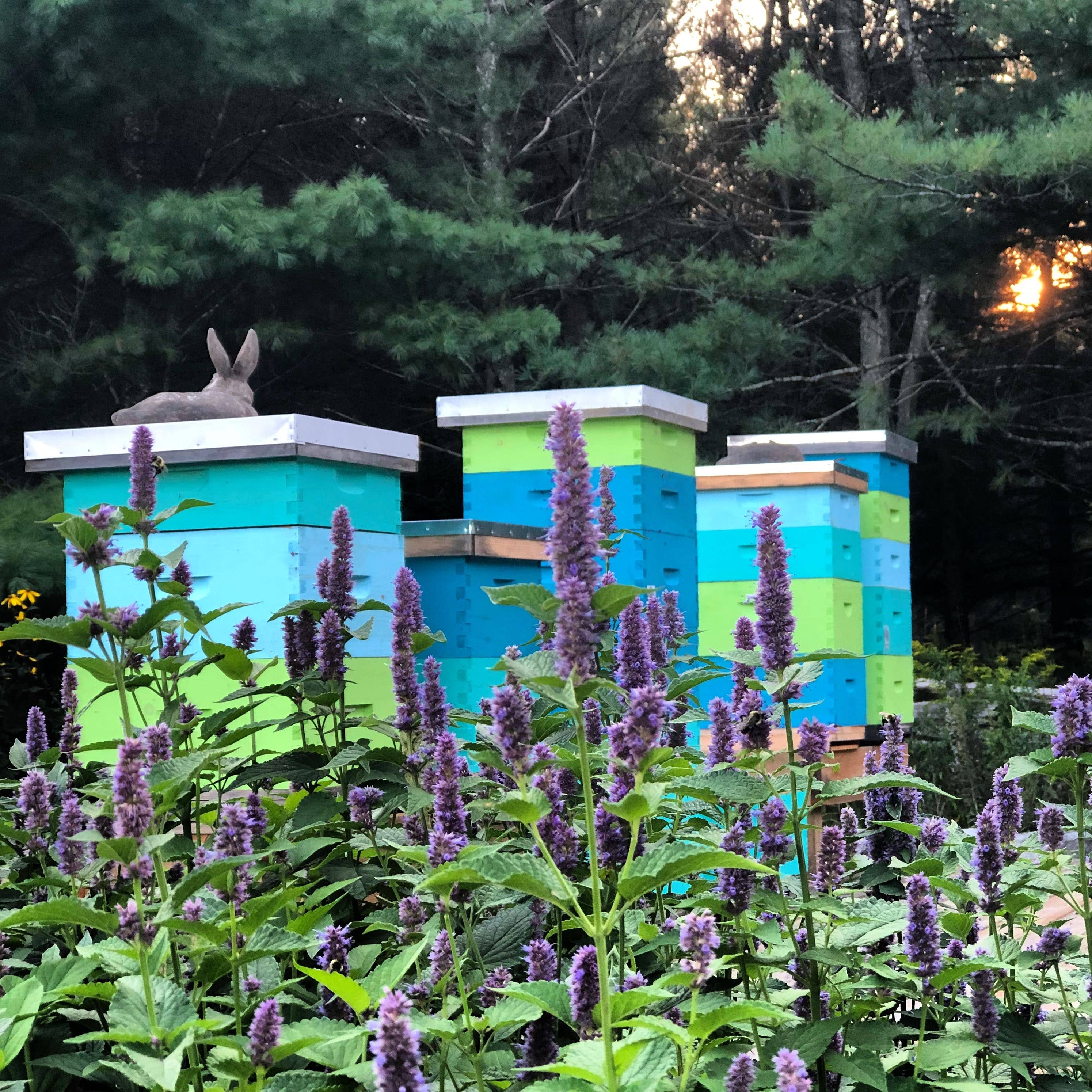 Heritage Bee Co. - Wholesale Honey - Lavender Creamed Honey - 300 g (10.6 oz)7