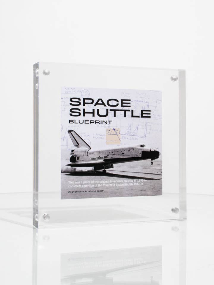 Fragment de plan de la navette spatiale de la NASA pour la vente par Stemcell Science Shop