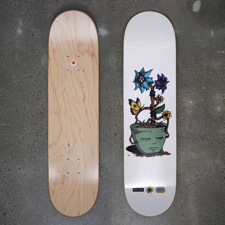 Brainchild x WKNDRS Deck - Chris Haslam (8.0") for wholesale by WKNDRS