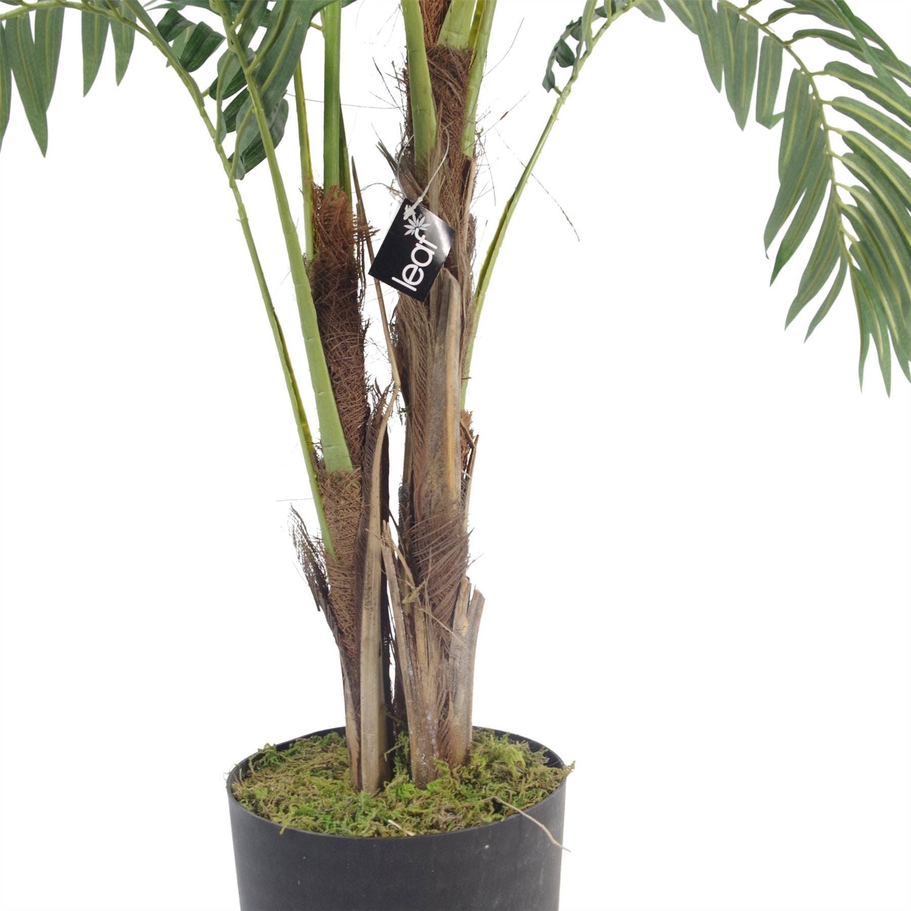 Leaf Design UK LTD – Engroshandel Kunstig plante – Stor Kunstig Palm Tree 120cm Luksus1
