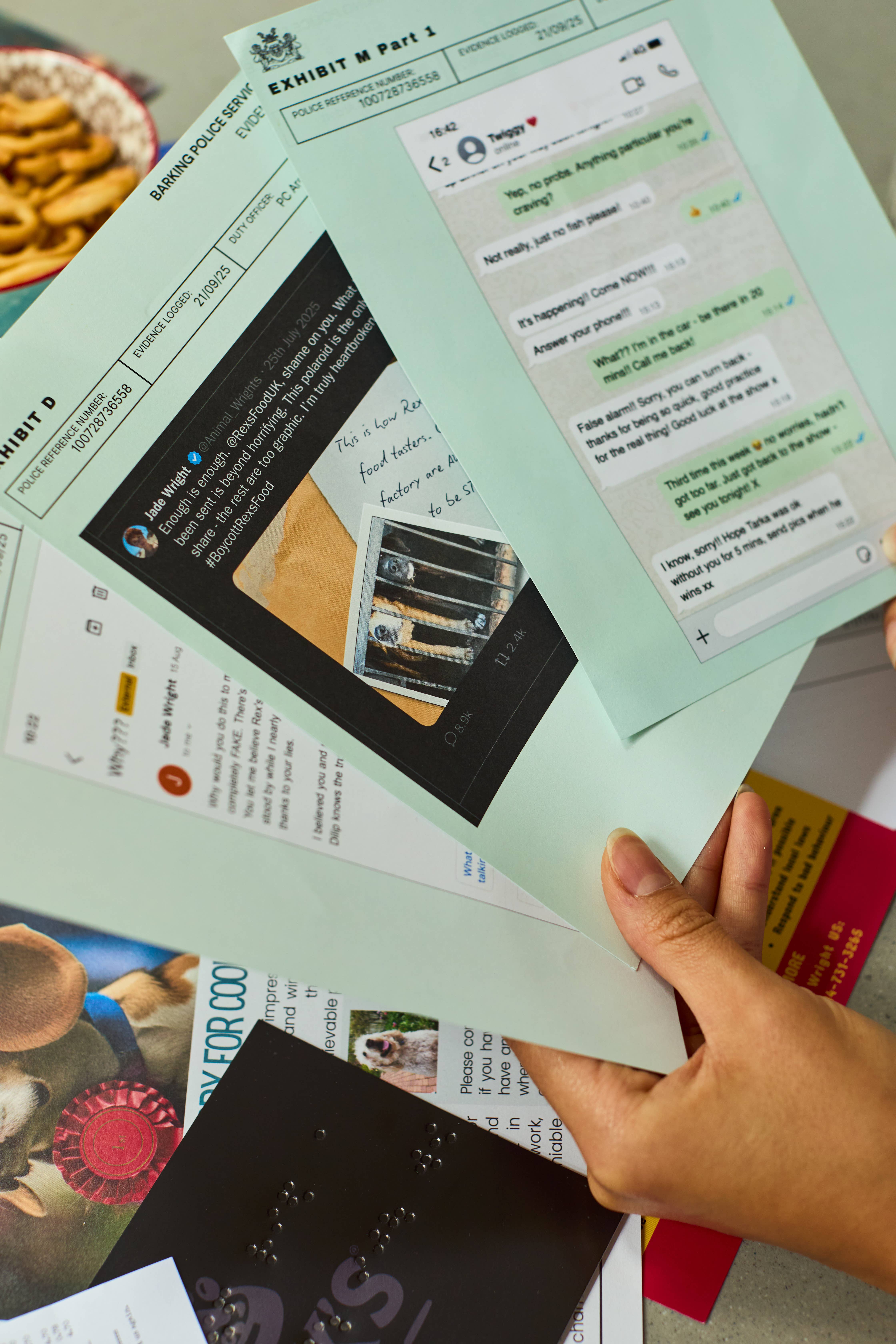 Puzzle Post Games – Jogo de tabuleiro por atacado – NOVA GAMA! Cold Case: Quem Deixou os Cães Sair?5