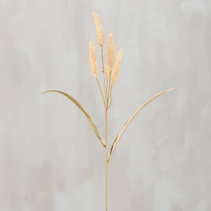 Dogtail Grass Floral Pick for wholesale by Primitives by Kathy