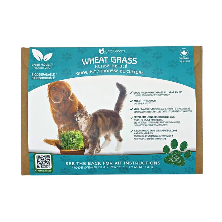 Wheatgrass Pet Kit for wholesale by UgroGreens Ltd.