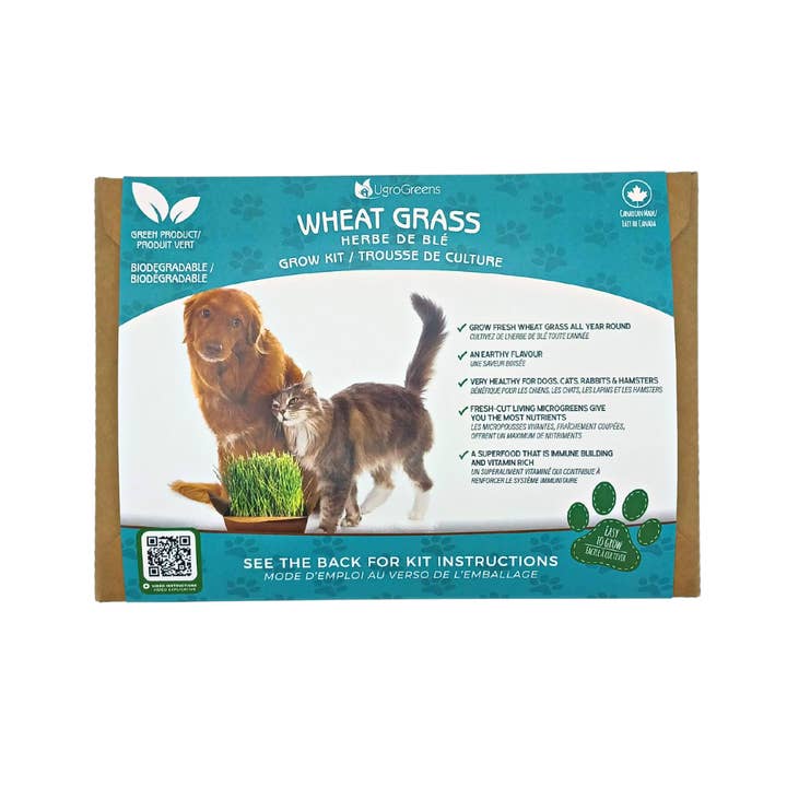 Wheatgrass Pet Kit for wholesale by UgroGreens Ltd.