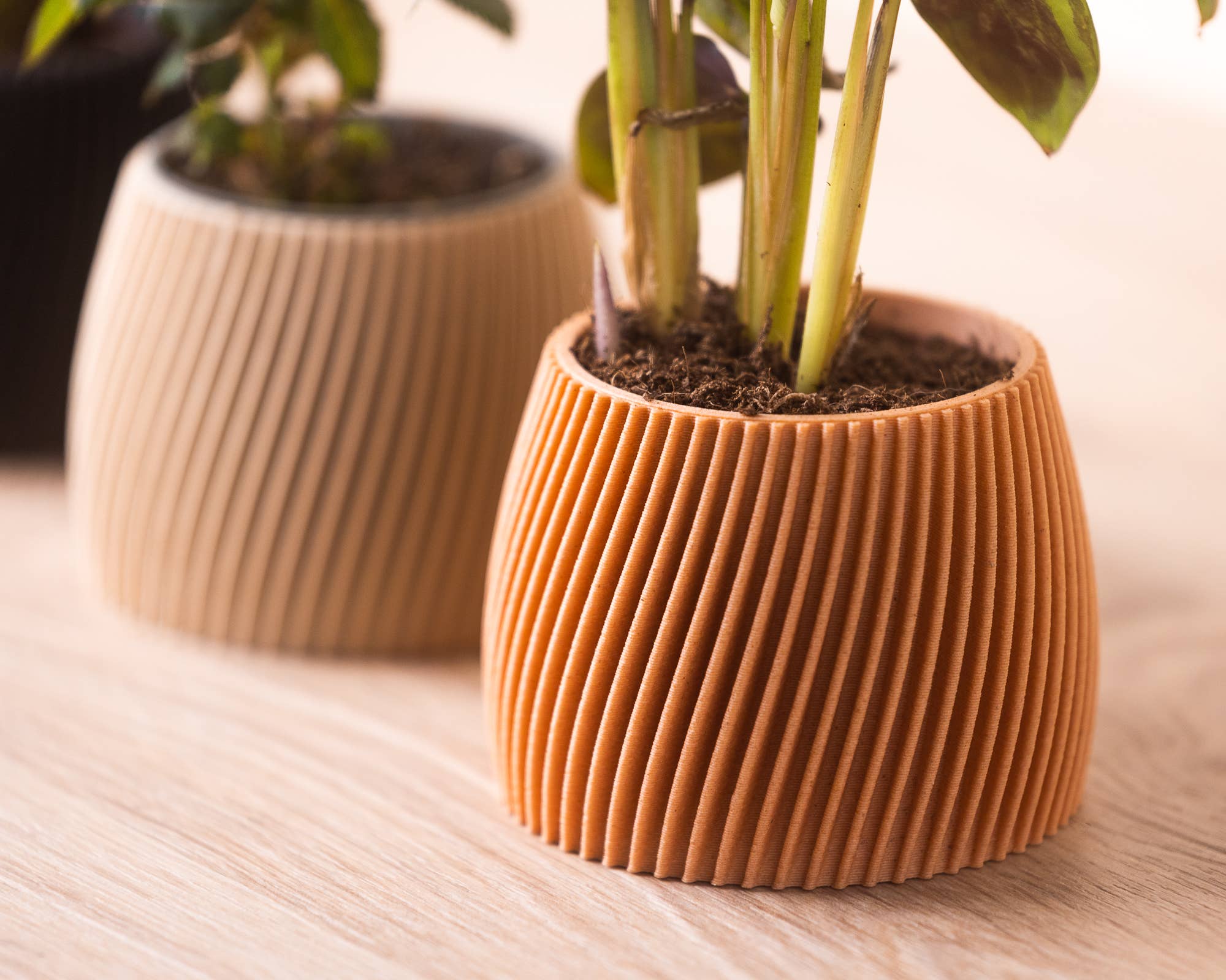 Copo Design - Wholesale Plant Pot - Small planters - Wood based - Plastic free - Vorte5