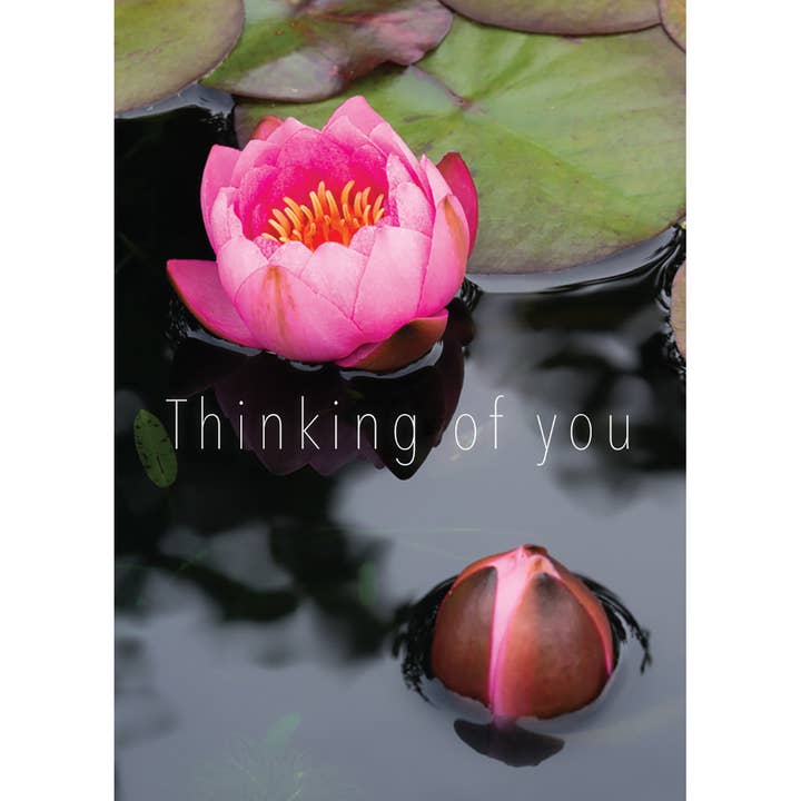 Thinking of You Card - Water Lilies for wholesale by Leonard Smith