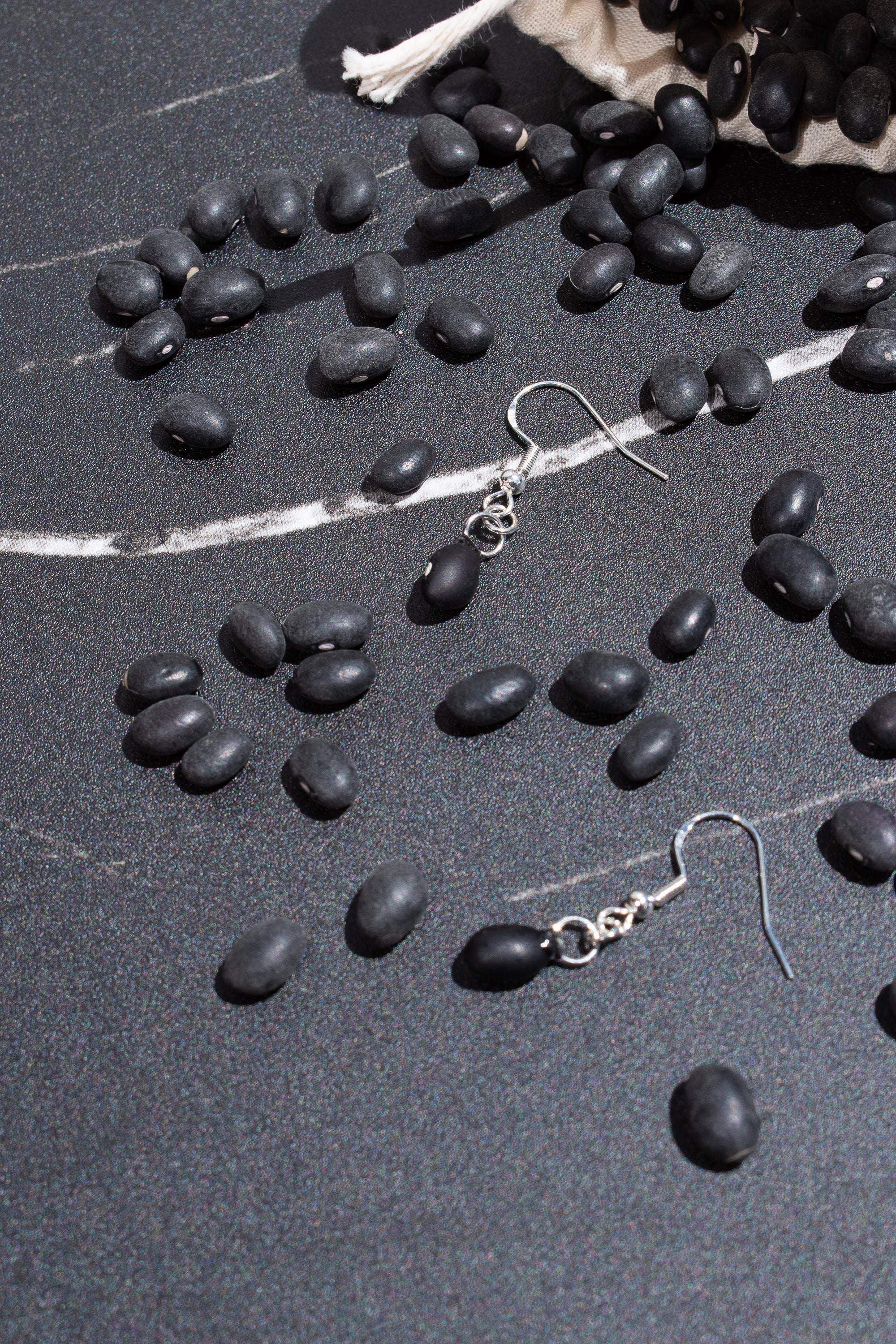Shutterhaus - Wholesale Dangle Earrings - Organic Dried Black Bean Hypoallergenic Earrings #25