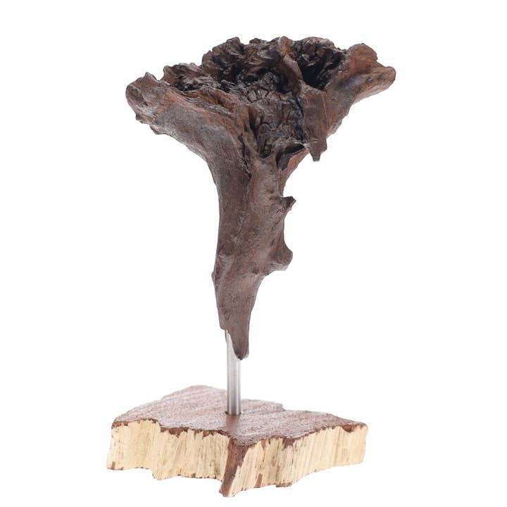 Natural Dark Driftwood Sculpture 4-6" Natural, Wood Stand for wholesale on Faire2