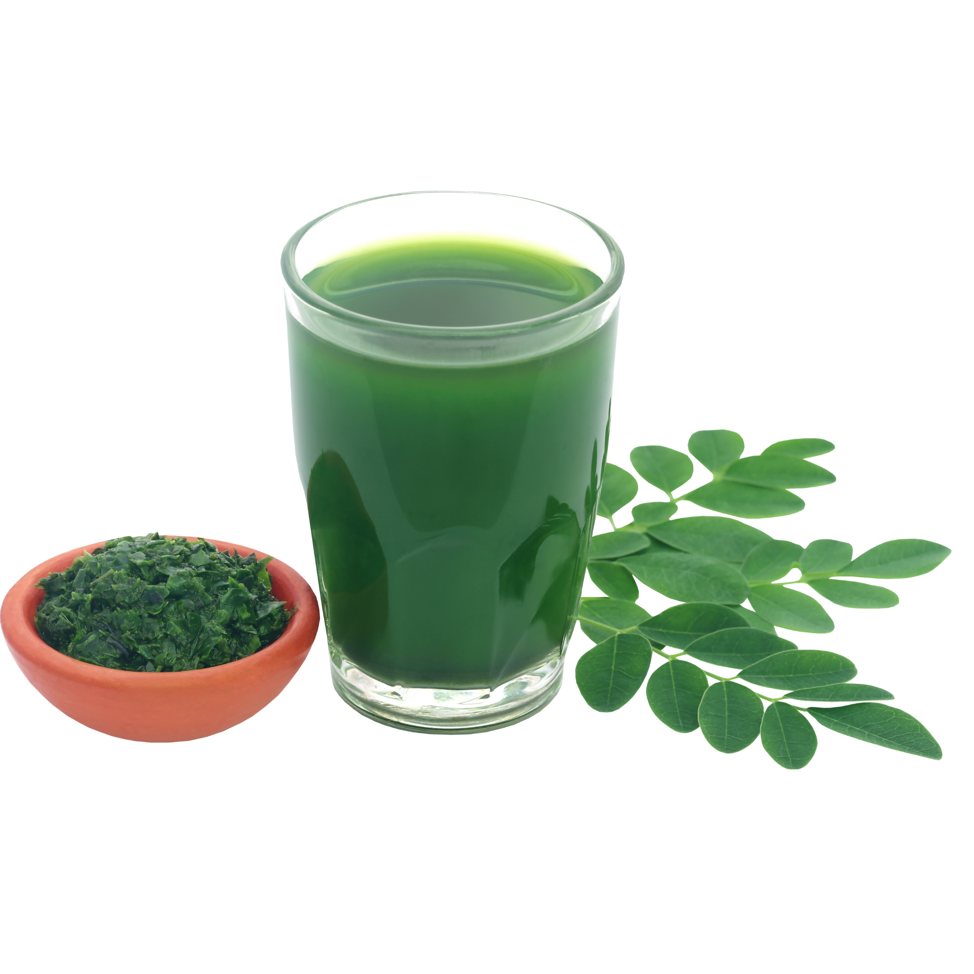 Olon Bue - Wholesale Tincture - Moringa (Moringa Oleifera) Leaf Liquid Extract Organic 1oz 4