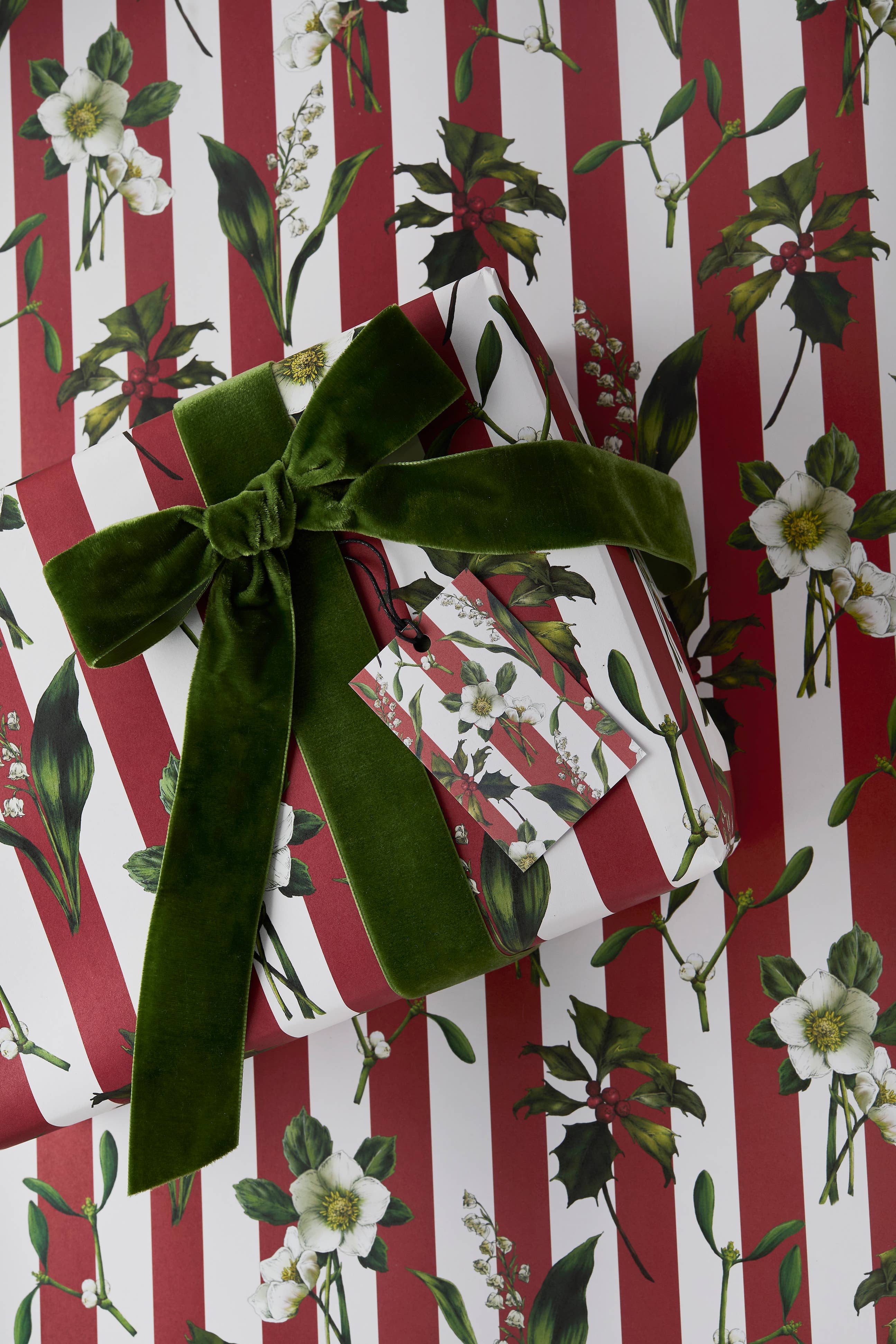 Catherine Lewis Design - Wholesale Flat Wrap - Carnivalesque - Red Stripe - Gift wrap3