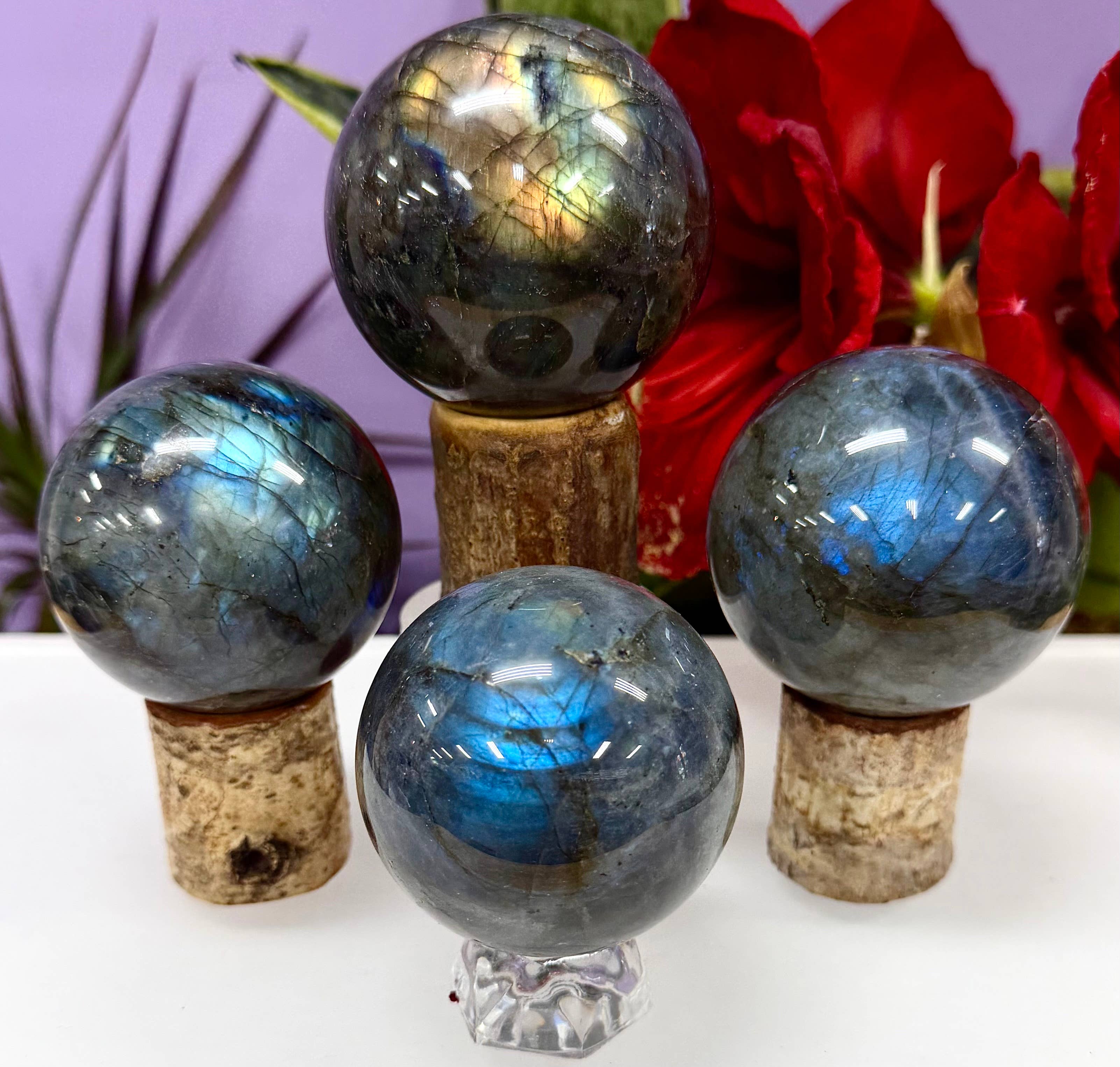 KayleeNYC - Wholesale Spiritual Stone/Crystal - 3-4 Pcs Natural Labradorite Sphere Crystal Ball healing