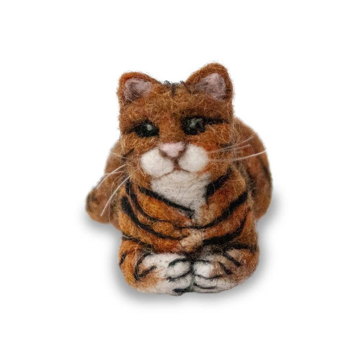 Cyperse kat voor wholesale door Lanart Alpaca