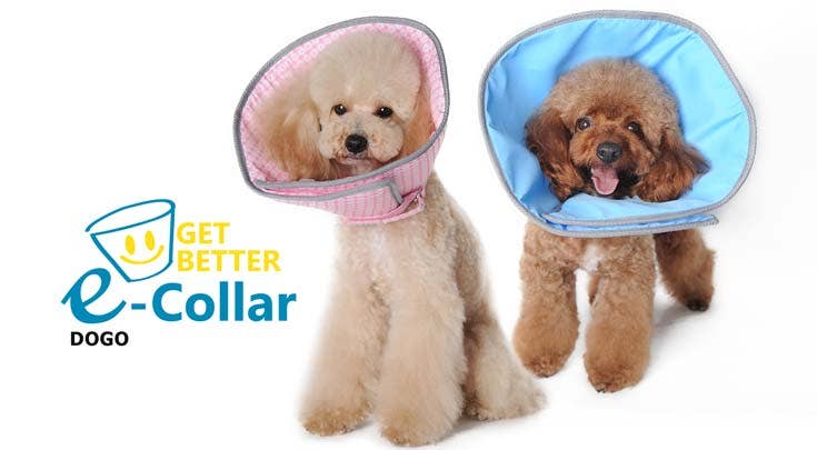 Dogo Pet - Wholesale Pet Collar - Dog - Get Better Soft E-Collar17