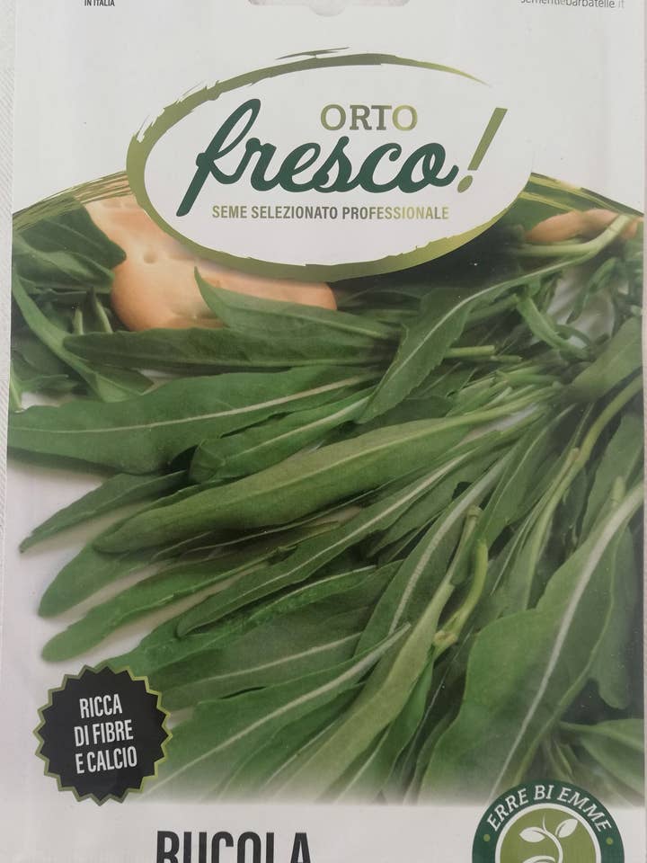 Rucola Blad af Oliven for engroshandel hos Sementi & Barbatelle