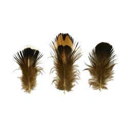 Ringneck Plumage-Blue Almond - Natural - 1.25"- 1.5" for wholesale by Zucker Feather Products