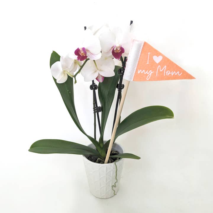 Pennant For Your Thoughts - Wholesale Flag - Mother's Day Tiny Flag Pennant | Wool Blend, Handmade in USA2