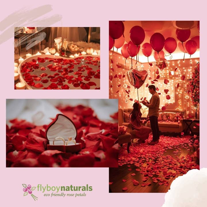 Flyboy Naturals Rose Petals - Wholesale Dried/pressed flowers - Romantic Red Rose Petals – 30 Cups Real • Freeze-Dried • USA12
