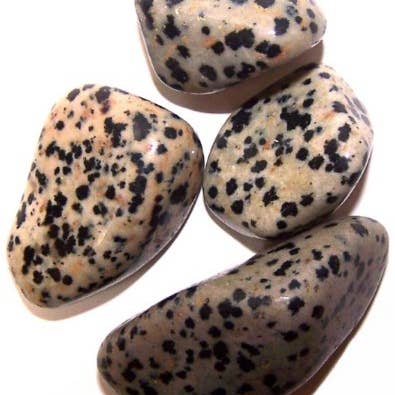 Ancient Wisdom - Wholesale Spiritual Stone/Crystal - L Tumble Stones - Dalmation Stone