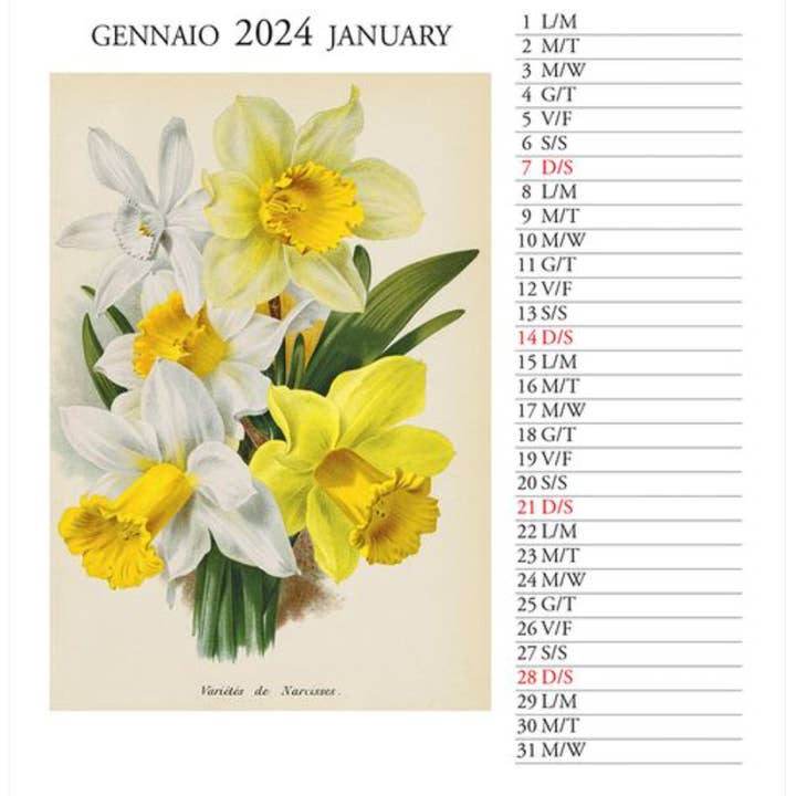 Thrive Creative – Großhandel Kalender – Tischkalender 2025, Vintage-Tischkalender mit floralen und botanischen Illustrationen