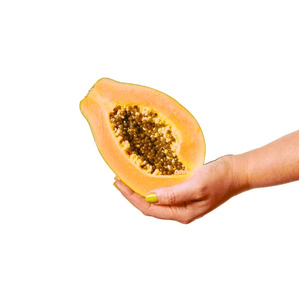 HUNDE - Wholesale Pet food – Dog - Vital Blend for Dogs3