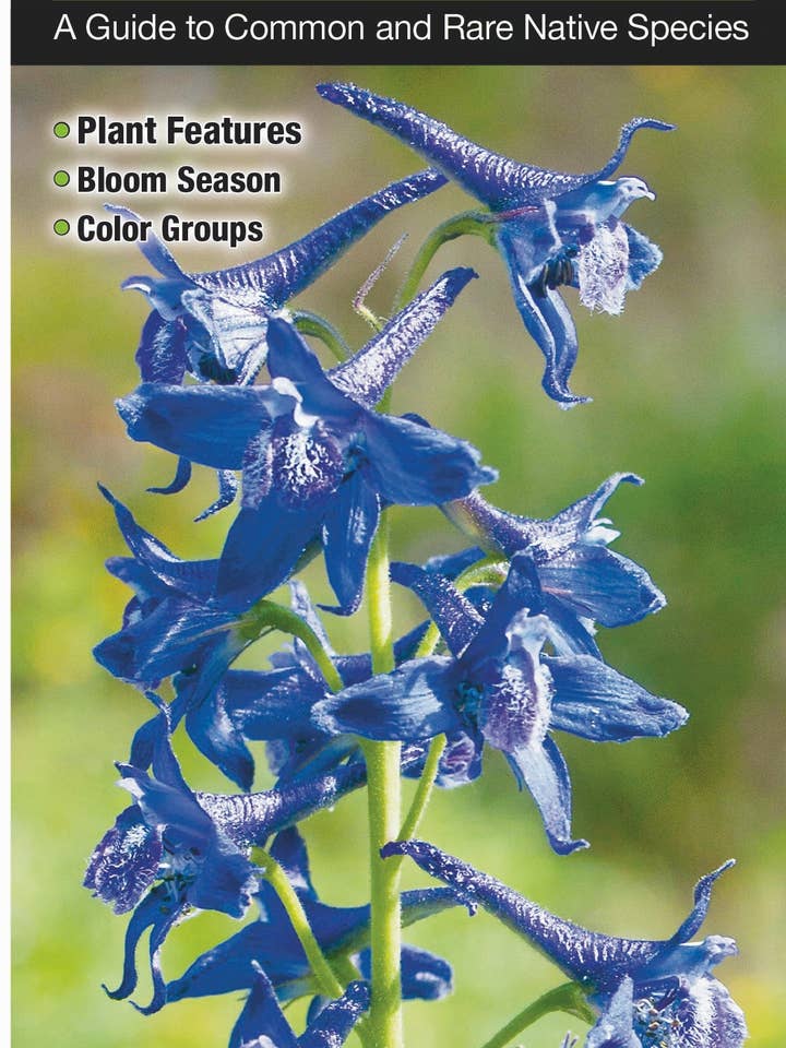 Vilde blomster af de nordlige Rocky Mountains for engroshandel hos Quick Reference Publishing, Inc