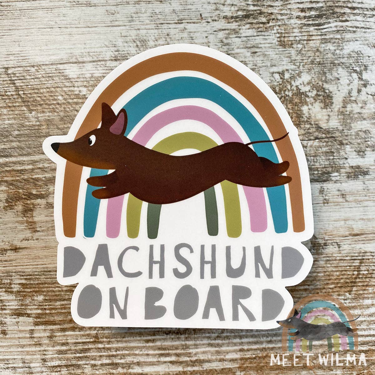 Meet Wilma - Wholesale Sticker - Car Sticker "Dachshund on board"4
