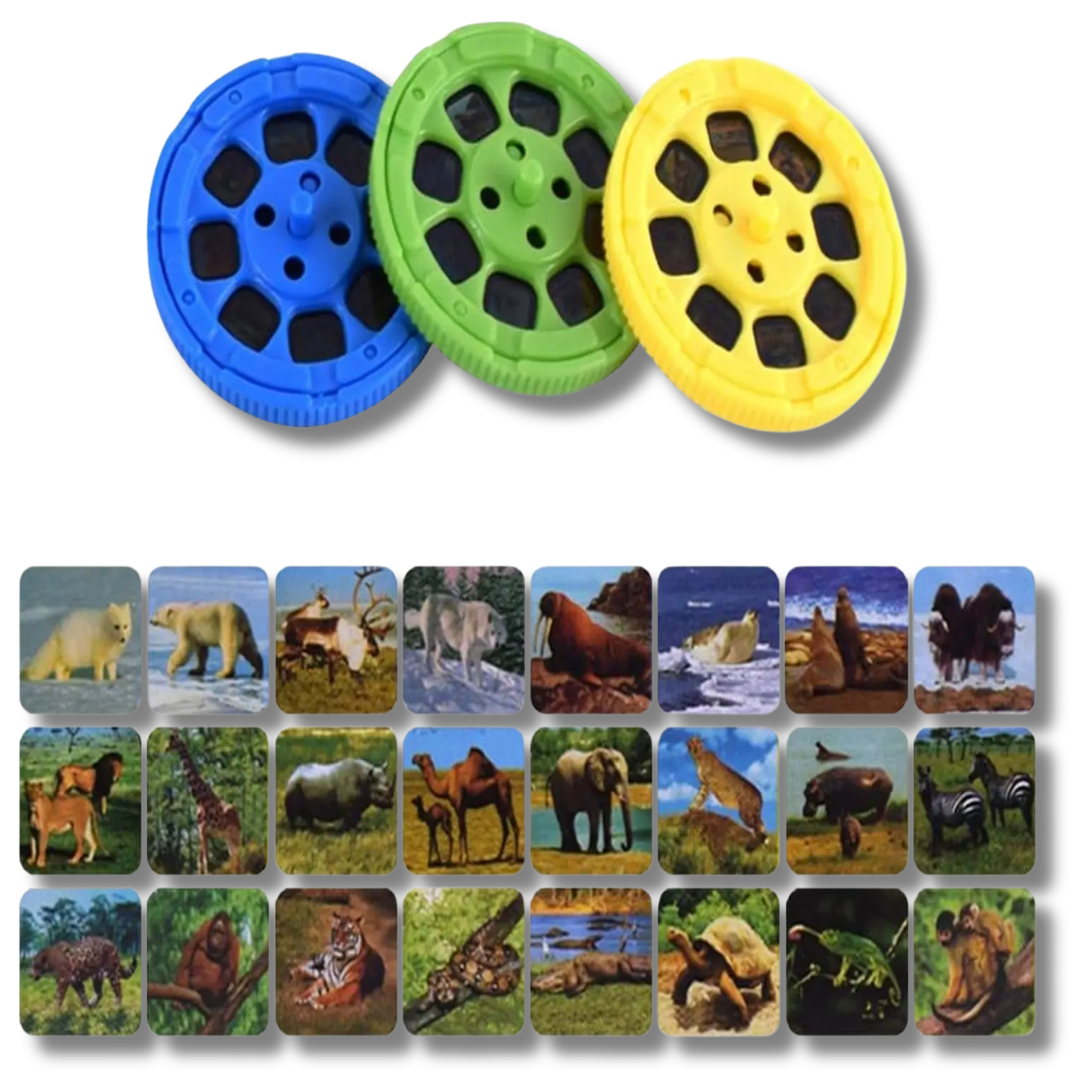 JSBlueRidge Toys - Venta al por mayor Juguete con luces - Niños y bebés - Linterna proyector de dinosaurios luz nocturna juguete para niños1