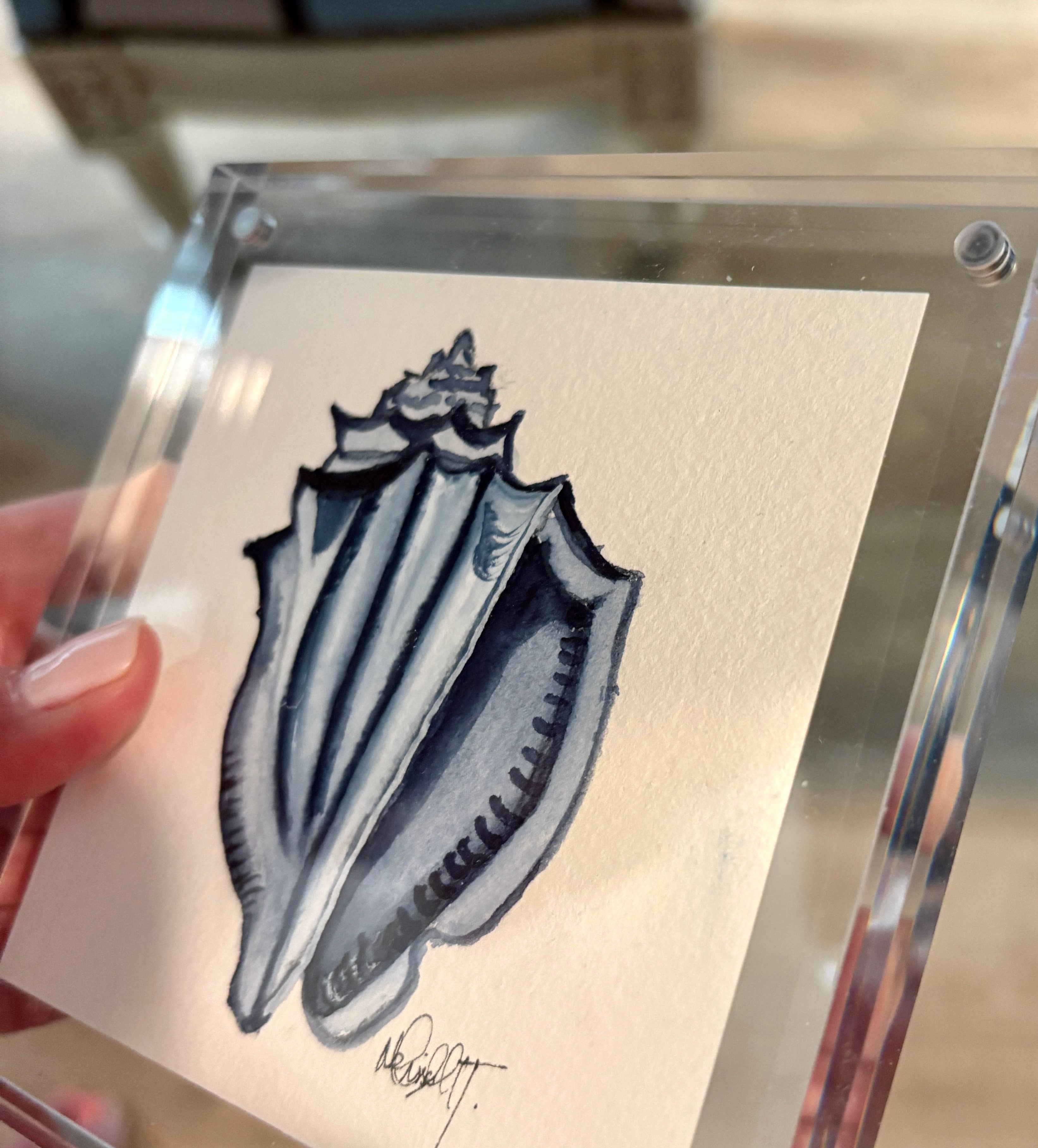 Paper Shells Studio - Venta al por mayor Ilustración - Concha marina original en acuarela en marco de bloque acrílico, 5x54