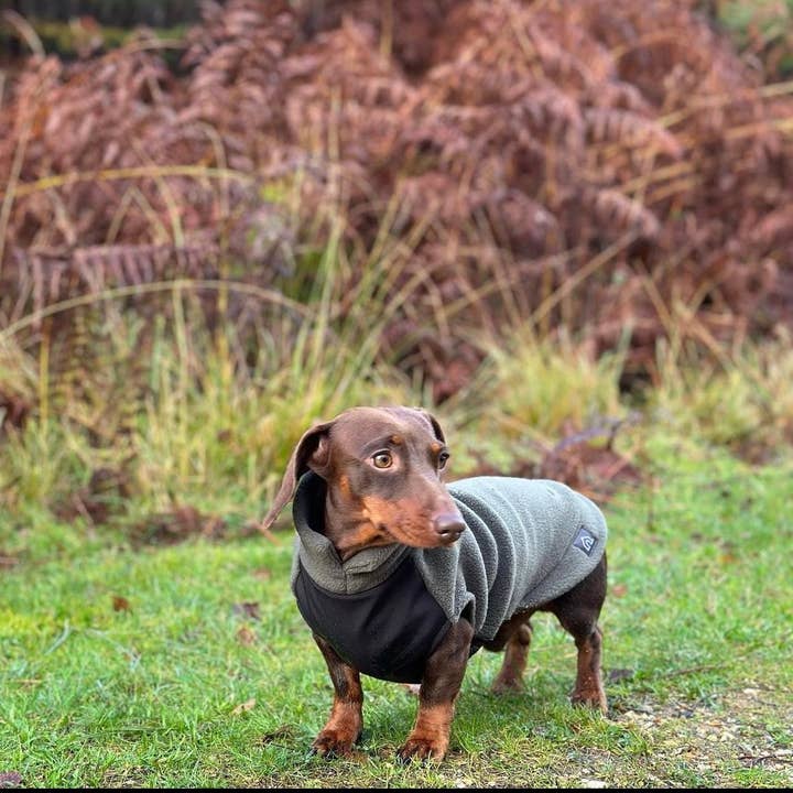 Doghouse - Vendita all'ingrosso Maglione - Cani - Maglione in pile a forma di bassotto con pannello addominale impermeabile