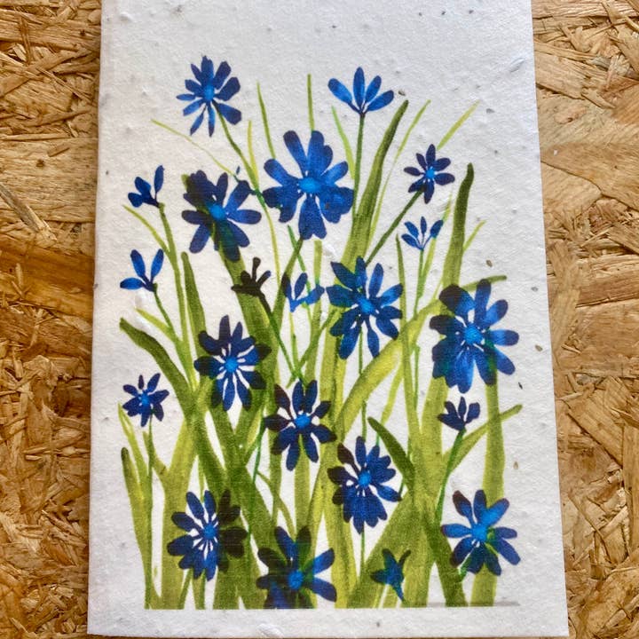 Our Little Seed Company – wholesale Everyday greeting card – Nature Inspired - Blue Meadow 901
