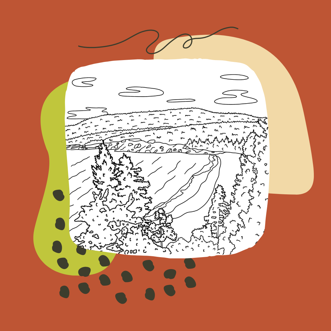 Ashley Laren Art - Wholesale Coloring & Activity Book - Adult - National Park Coloring Book Volume I1