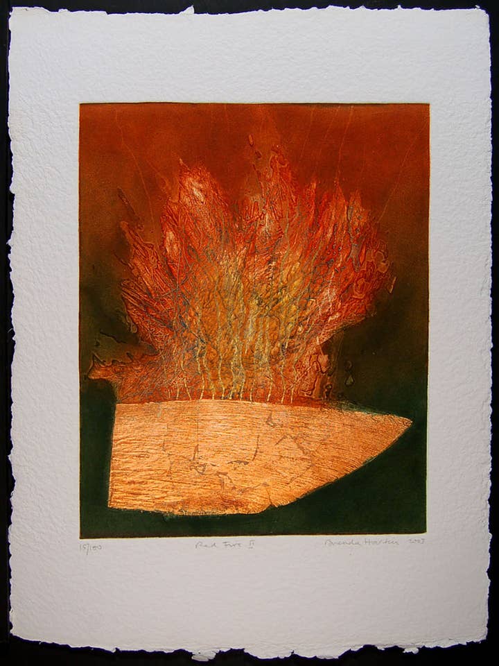 Rød ild II for engroshandel hos Brenda Hartill