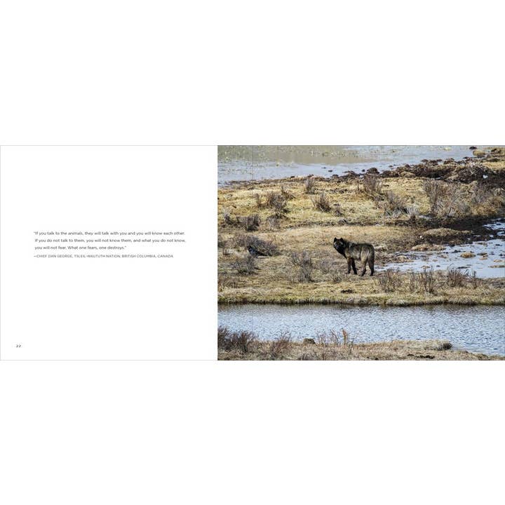 Gibbs Smith - Wholesale Nature & Outdoors - Wolves: Western Warriors2