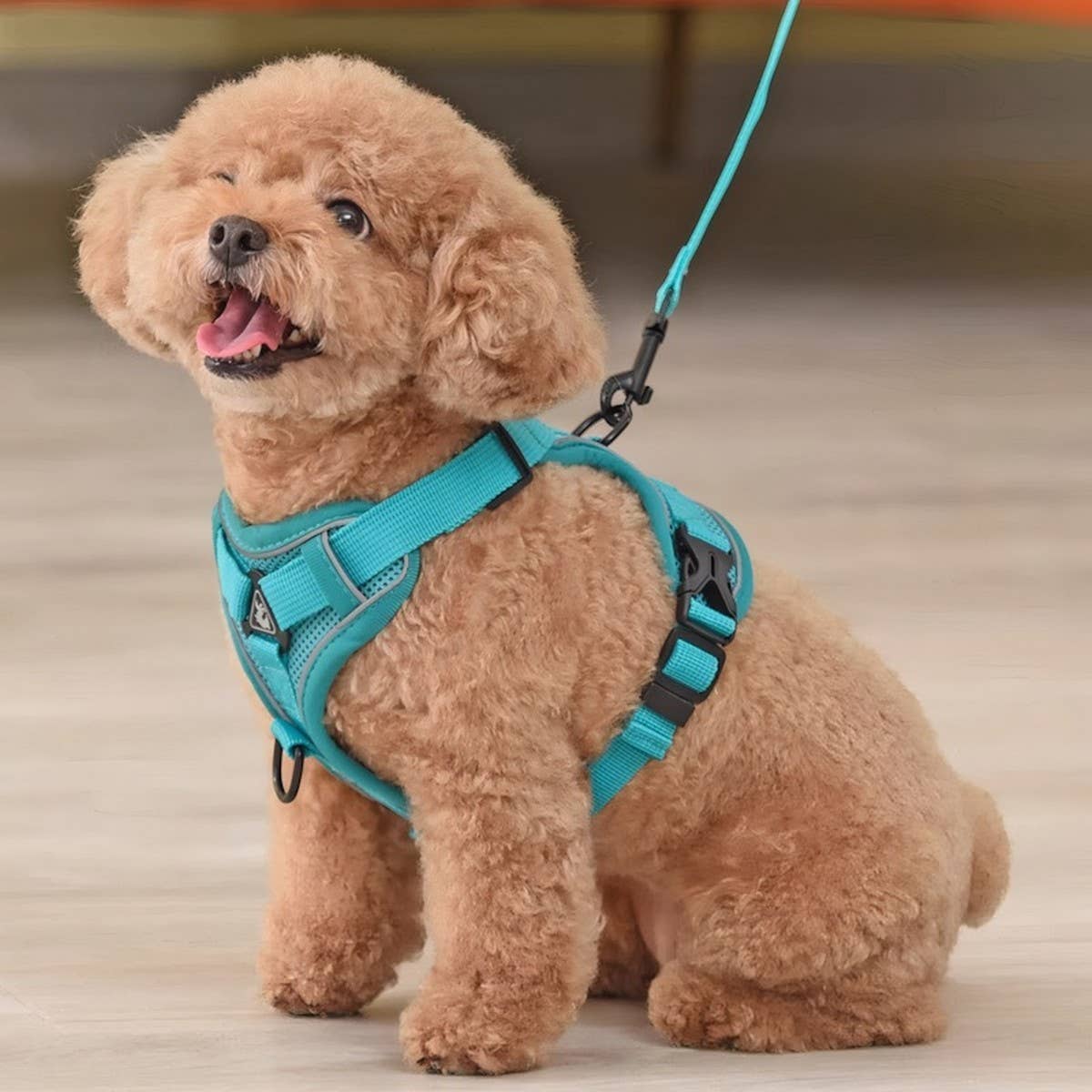 PAWPAWwholesale - Wholesale Pet Harness - Dog - Reflective Dog Harness with Leash – Escape-Proof_CWMM72673