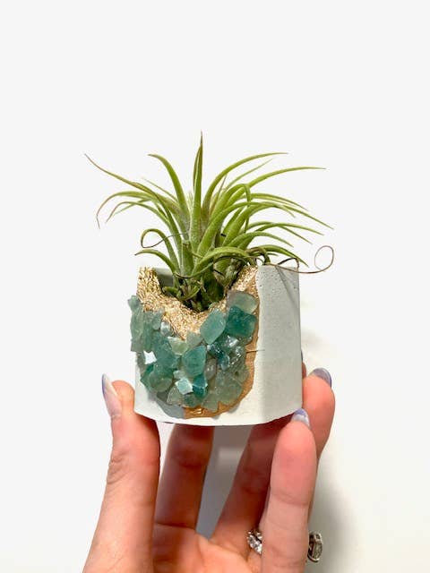 Plant One On Me Designs - Vente Pot - Jardinière en géode de cristal avec plante aérienne - Cristaux mixtes5