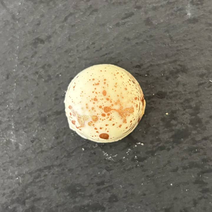 Les Douceurs de Louis - Vendita all'ingrosso Confezioni di cioccolatini - Scatola di cioccolatini ripieni assortiti9