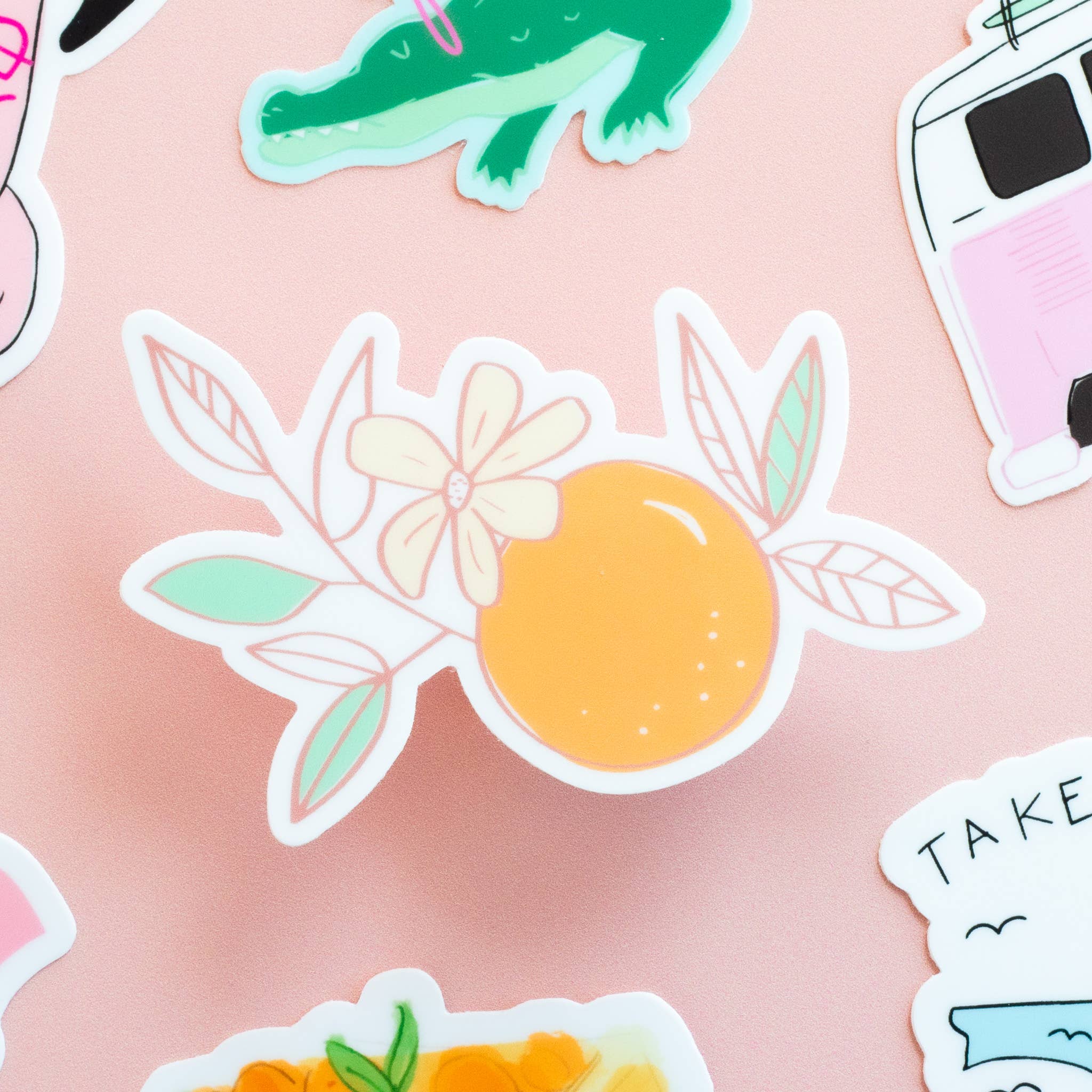 Declaration & Co - Wholesale Sticker - Orange Blossom Sticker5